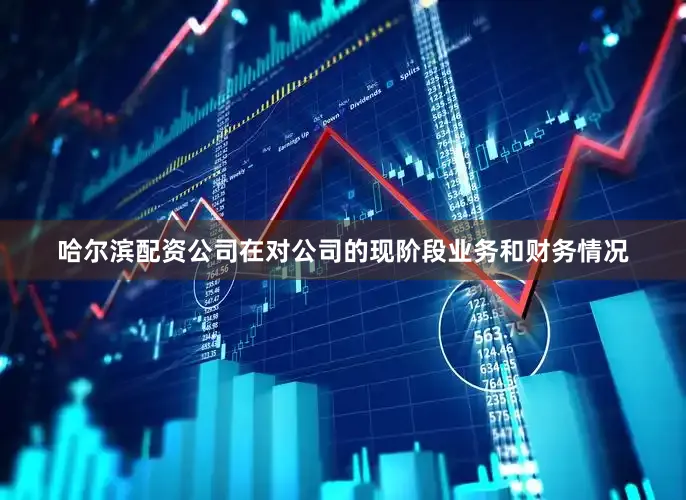 哈尔滨配资公司在对公司的现阶段业务和财务情况