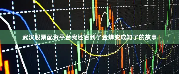 武汉股票配资平台我还看到了金蝉变成知了的故事