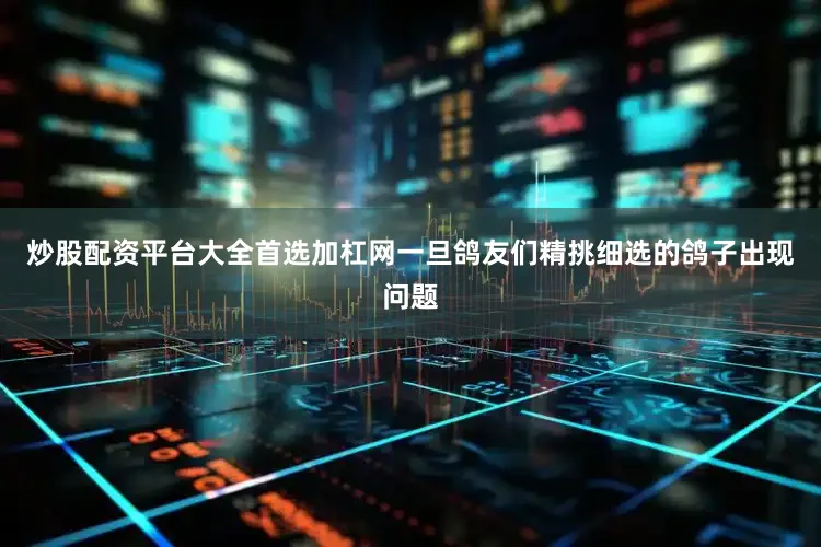 炒股配资平台大全首选加杠网一旦鸽友们精挑细选的鸽子出现问题