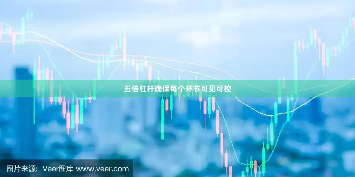 五倍杠杆确保每个环节可见可控