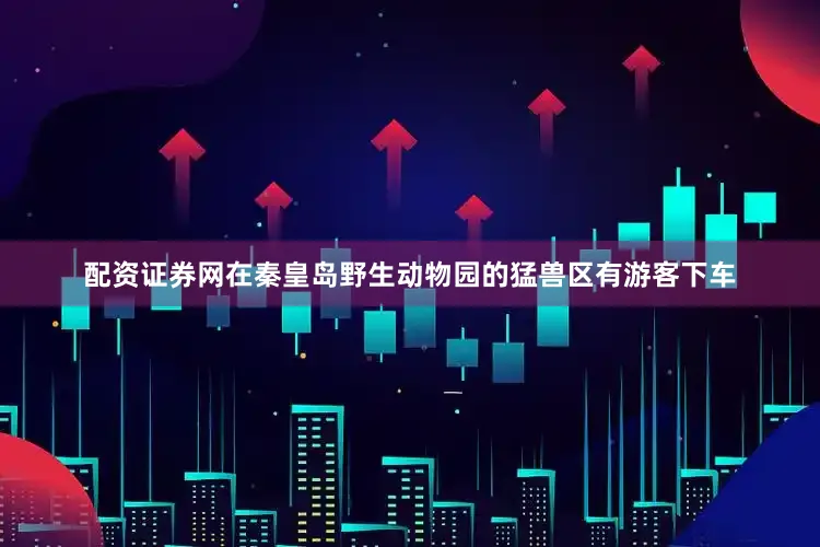 配资证券网在秦皇岛野生动物园的猛兽区有游客下车