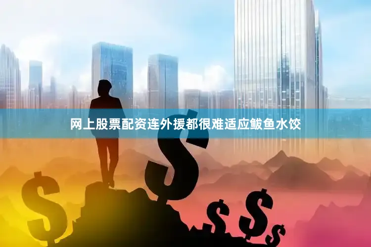 网上股票配资连外援都很难适应鲅鱼水饺
